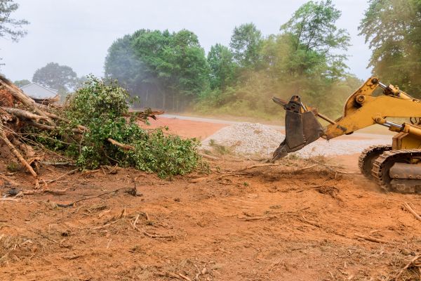 Ground Clearing in New Smyrna Beach