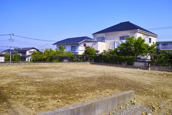 Cost of Lot Clearing Service in New Smyrna Beach