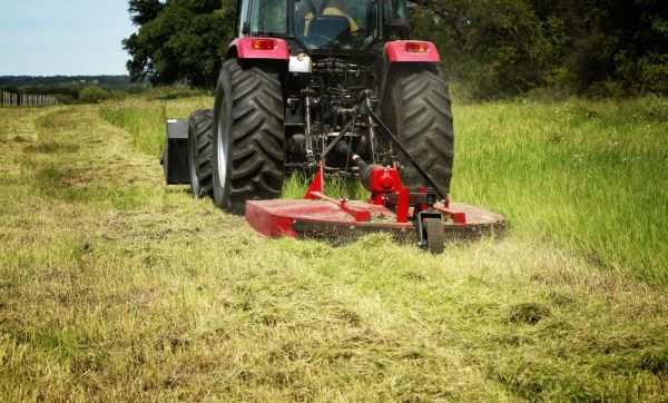 Brush Clearing Service in New Smyrna Beach