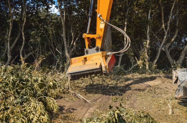 Brush Removal Service in New Smyrna Beach