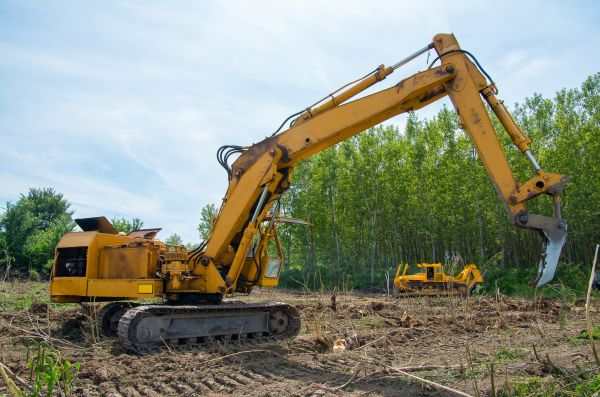 Cost of Farm Clearing in New Smyrna Beach