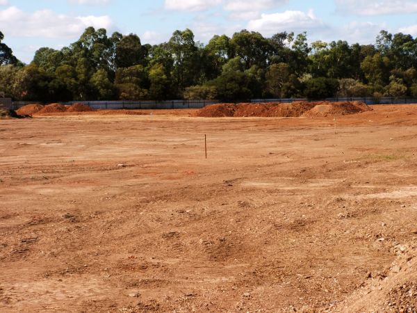 Cost of Field Clearing in New Smyrna Beach