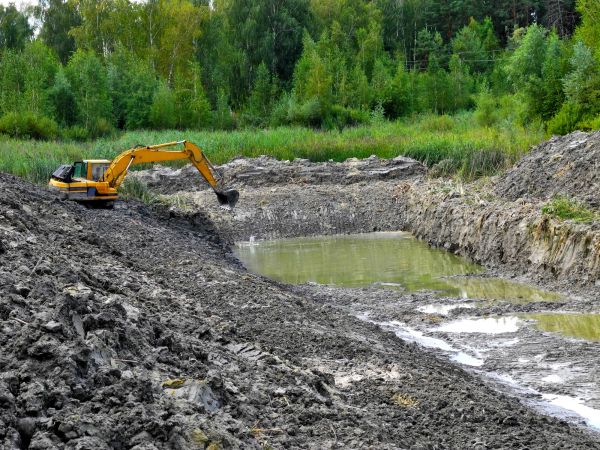 Cost of Lake Lot Clearing in New Smyrna Beach
