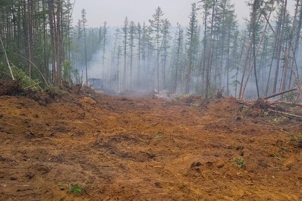 Cost of Hill Clearing in New Smyrna Beach