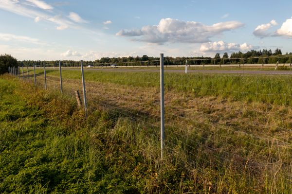 Cost of Property Line Clearing in New Smyrna Beach