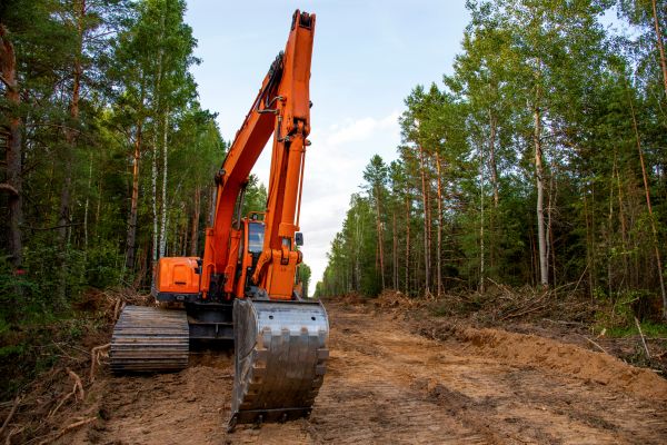 Cost of Backhoe Land Clearing in New Smyrna Beach