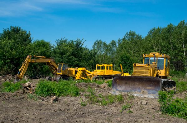 Cost of Bulldozer Clearing in New Smyrna Beach