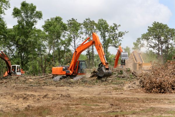 Cost of Commercial Lot Clearing in New Smyrna Beach
