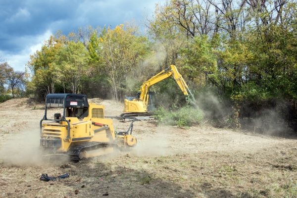 Cost of Terrain Clearing in New Smyrna Beach