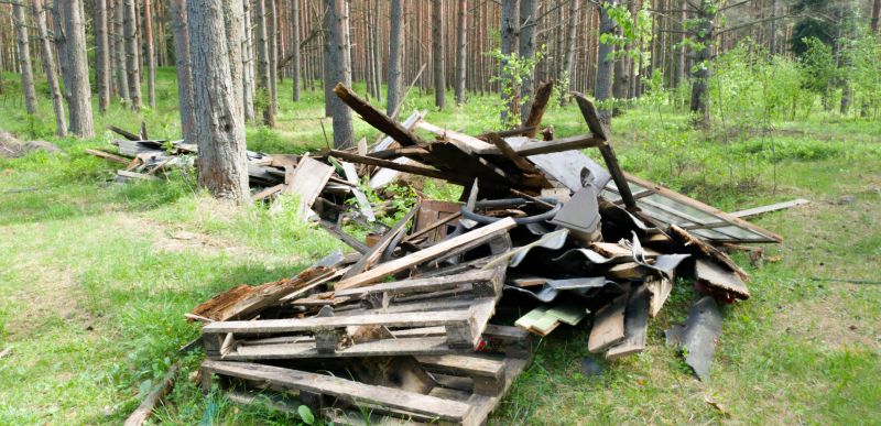 Debris Removal Services
